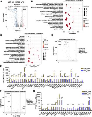 Lobetyolin protects mice against LPS-induced sepsis by downregulating the production of inflammatory cytokines in macrophage